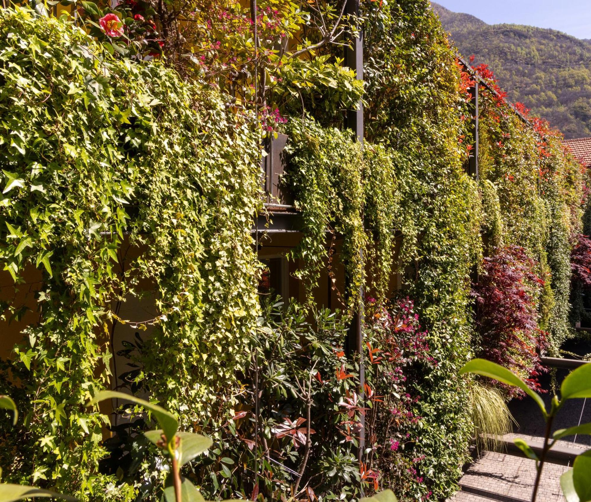 Residence Casa Coppa Appartamento Ivy Omegna Bagian luar foto