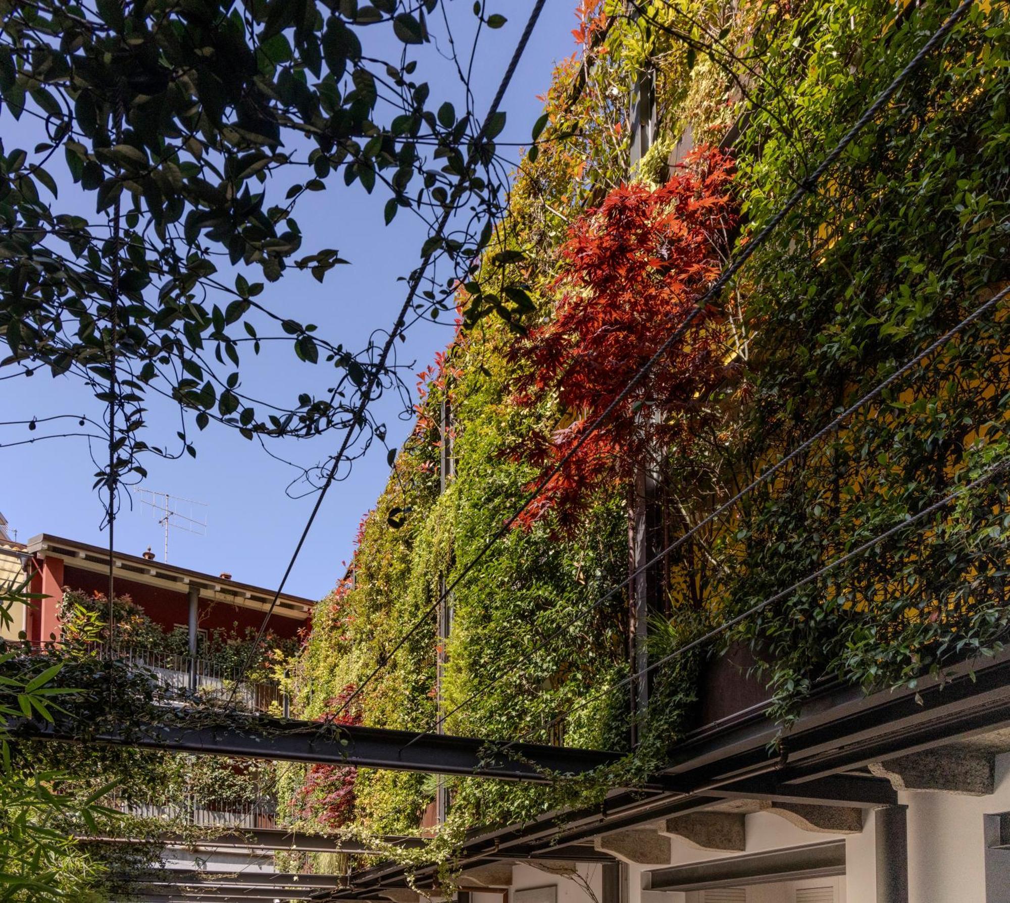 Residence Casa Coppa Appartamento Ivy Omegna Bagian luar foto